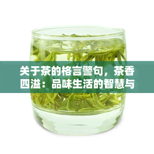 关于茶的格言警句，茶香四溢：品味生活的智慧与哲理——关于茶的格言警句集锦