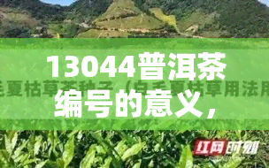 13044普洱茶编号的意义，揭示13044普洱茶编号的含义与价值