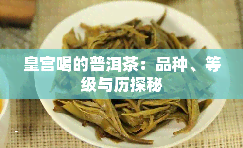 皇宫喝的普洱茶：品种、等级与历探秘