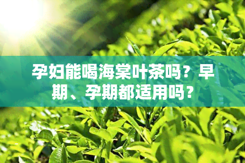 孕妇能喝海棠叶茶吗？早期、孕期都适用吗？