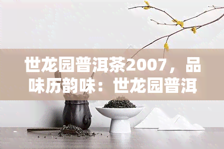 世龙园普洱茶2007，品味历韵味：世龙园普洱茶2007的独特魅力