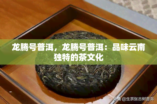 龙腾号普洱，龙腾号普洱：品味云南独特的茶文化