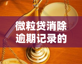 微粒贷消除逾期记录的方法及步骤全攻略