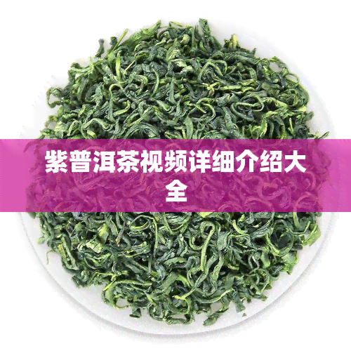 紫普洱茶视频详细介绍大全