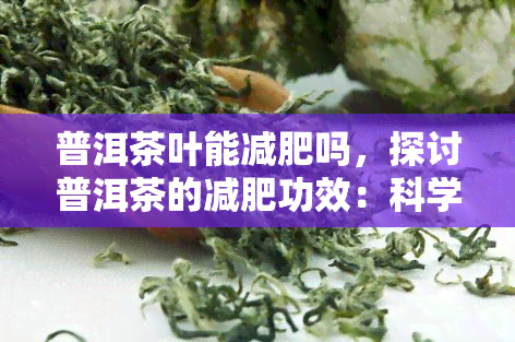 普洱茶叶能减肥吗，探讨普洱茶的减肥功效：科学解析与实证研究