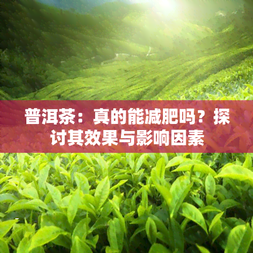 普洱茶：真的能减肥吗？探讨其效果与影响因素