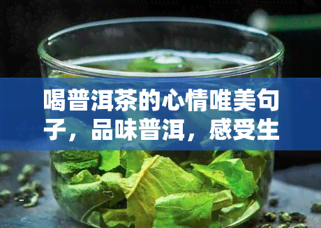 喝普洱茶的心情唯美句子，品味普洱，感受生活之美——喝普洱茶的心情唯美句子