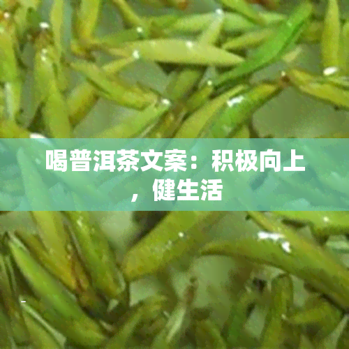 喝普洱茶文案：积极向上，健生活