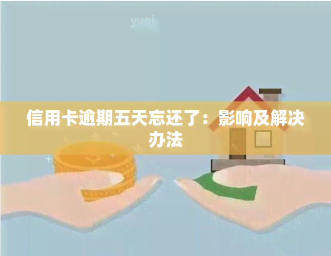 信用卡逾期五天忘还了：影响及解决办法