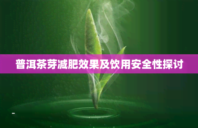 普洱茶芽减肥效果及饮用安全性探讨