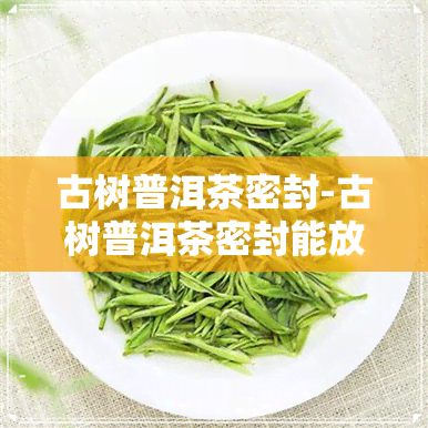 古树普洱茶密封-古树普洱茶密封能放多久