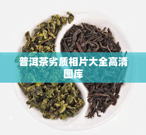 普洱茶劣质相片大全高清图库