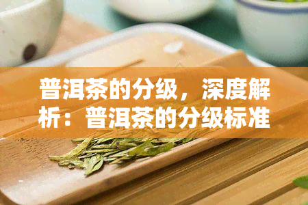 普洱茶的分级，深度解析：普洱茶的分级标准及其影响因素