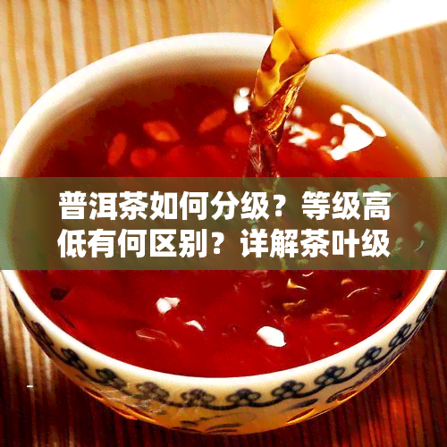 普洱茶如何分级？等级高低有何区别？详解茶叶级别的划分方法