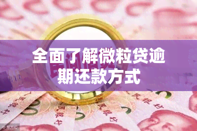 全面了解微粒贷逾期还款方式