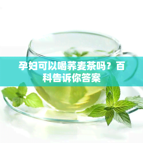 孕妇可以喝荞麦茶吗？百科告诉你答案