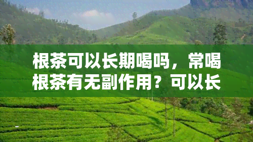 根茶可以长期喝吗，常喝根茶有无副作用？可以长期饮用吗？