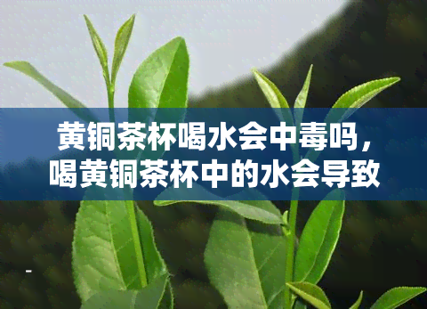 黄铜茶杯喝水会中吗，喝黄铜茶杯中的水会导致中吗？