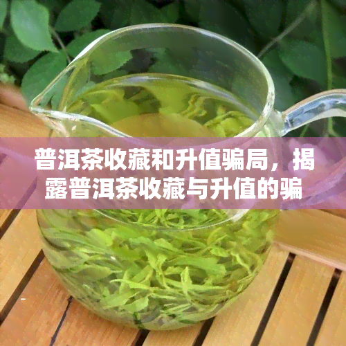 普洱茶收藏和升值骗局，揭露普洱茶收藏与升值的骗局：谨防受骗！