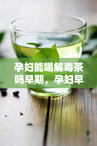 孕妇能喝解茶吗早期，孕妇早期可以饮用解茶吗？