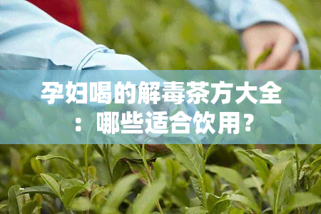 孕妇喝的解茶方大全：哪些适合饮用？