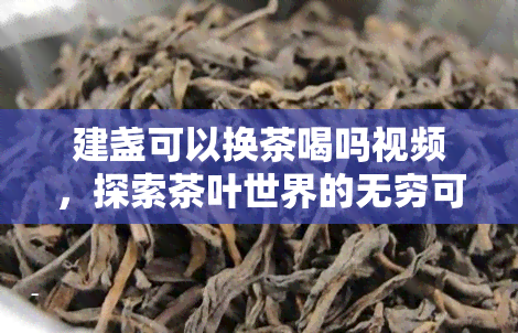 建盏可以换茶喝吗视频，探索茶叶世界的无穷可能：建盏是否适合换茶喝？——视频解析