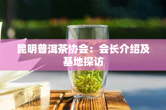 昆明普洱茶协会：会长介绍及基地探访