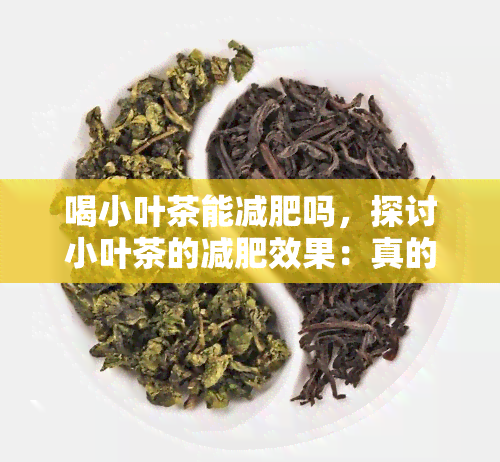 喝小叶茶能减肥吗，探讨小叶茶的减肥效果：真的可行吗？