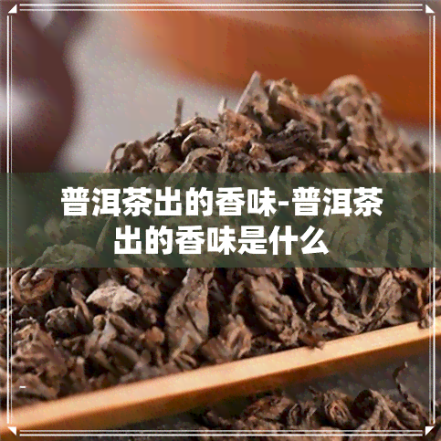 普洱茶出的香味-普洱茶出的香味是什么