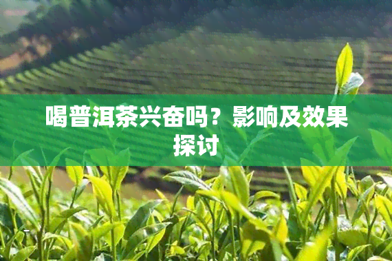 喝普洱茶兴奋吗？影响及效果探讨