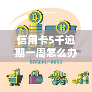 信用卡5千逾期一周怎么办？紧急处理方案及建议