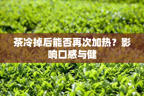 茶冷掉后能否再次加热？影响口感与健