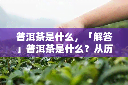 普洱茶是什么，「解答」普洱茶是什么？从历、产地到口感，全面解析普洱茶