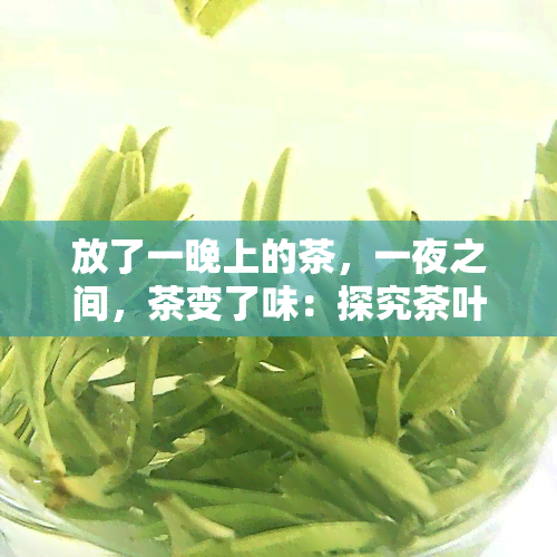 放了一晚上的茶，一夜之间，茶变了味：探究茶叶在过夜后的变化