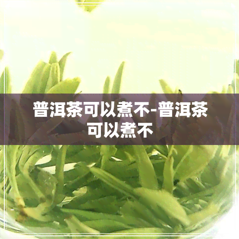 普洱茶可以煮不-普洱茶可以煮不