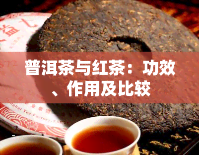 普洱茶与红茶：功效、作用及比较