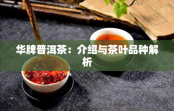 华牌普洱茶：介绍与茶叶品种解析