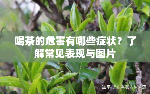 喝茶的危害有哪些症状？了解常见表现与图片