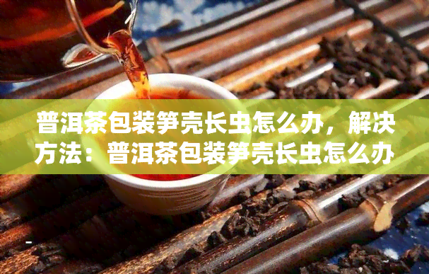 普洱茶包装笋壳长虫怎么办，解决方法：普洱茶包装笋壳长虫怎么办？