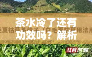 茶水冷了还有功效吗？解析其原因与是否适宜饮用