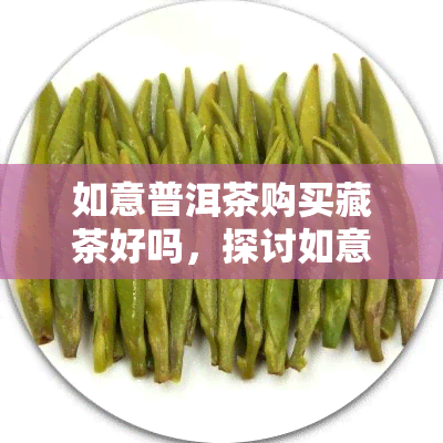 如意普洱茶购买藏茶好吗，探讨如意普洱茶与藏茶的购买差异，哪种更适合你？