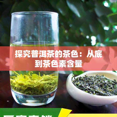 探究普洱茶的茶色：从底到茶色素含量