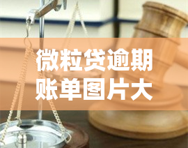 微粒贷逾期账单图片大全，全面解析微粒贷逾期账单：图片大全详解