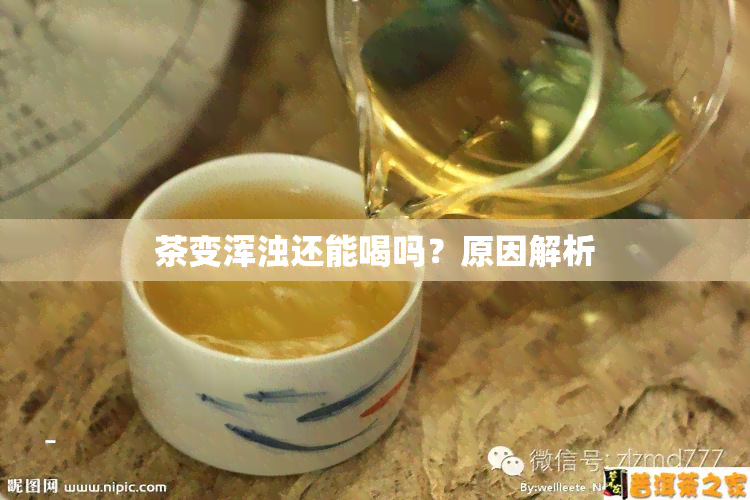 茶变浑浊还能喝吗？原因解析