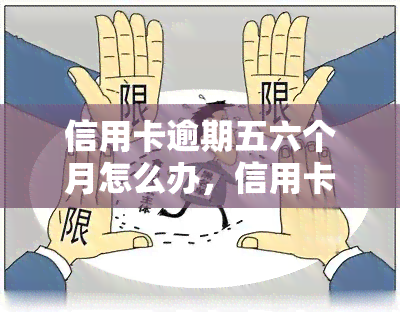 信用卡逾期五六个月怎么办，信用卡逾期五六个月，如何应对和解决？