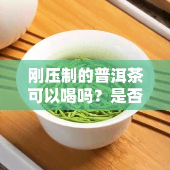 刚压制的普洱茶可以喝吗？是否有？