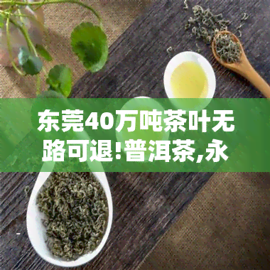 东莞40万吨茶叶无路可退!普洱茶,永远的库存之殇，东莞40万吨茶叶困局：普洱茶，库存之痛何时休？