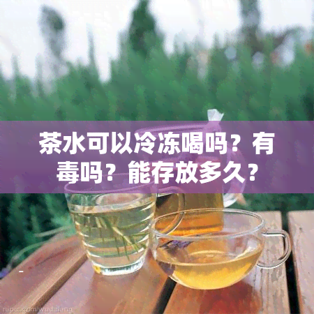 茶水可以冷冻喝吗？有吗？能存放多久？