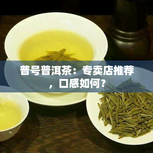 普号普洱茶：专卖店推荐，口感如何？