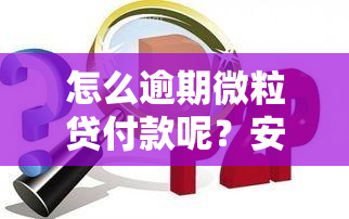 怎么逾期微粒贷付款呢？安全吗？详细操作步骤解析